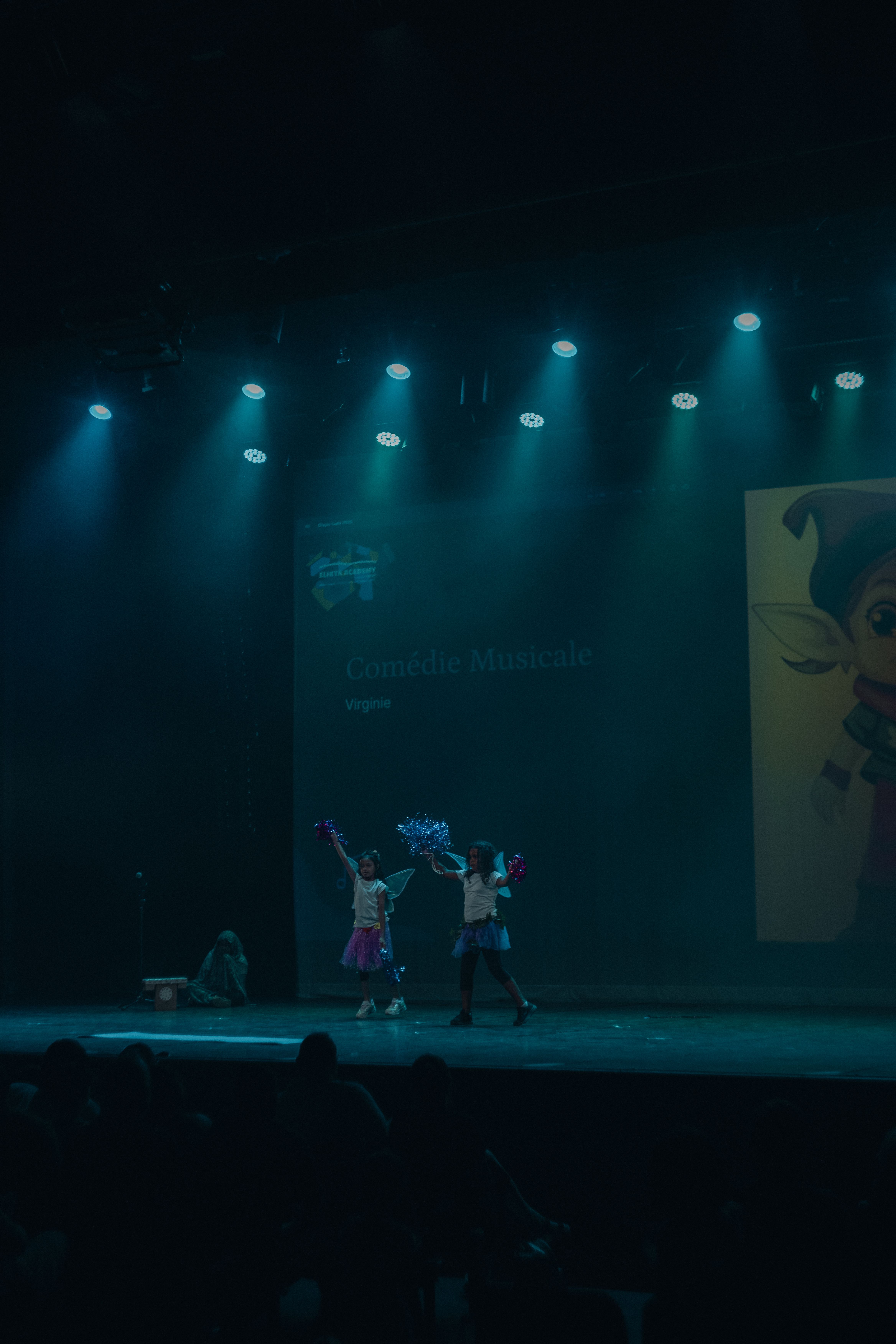 Image Comédie musicale