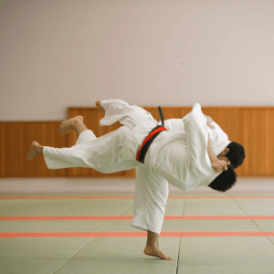  jujitsu